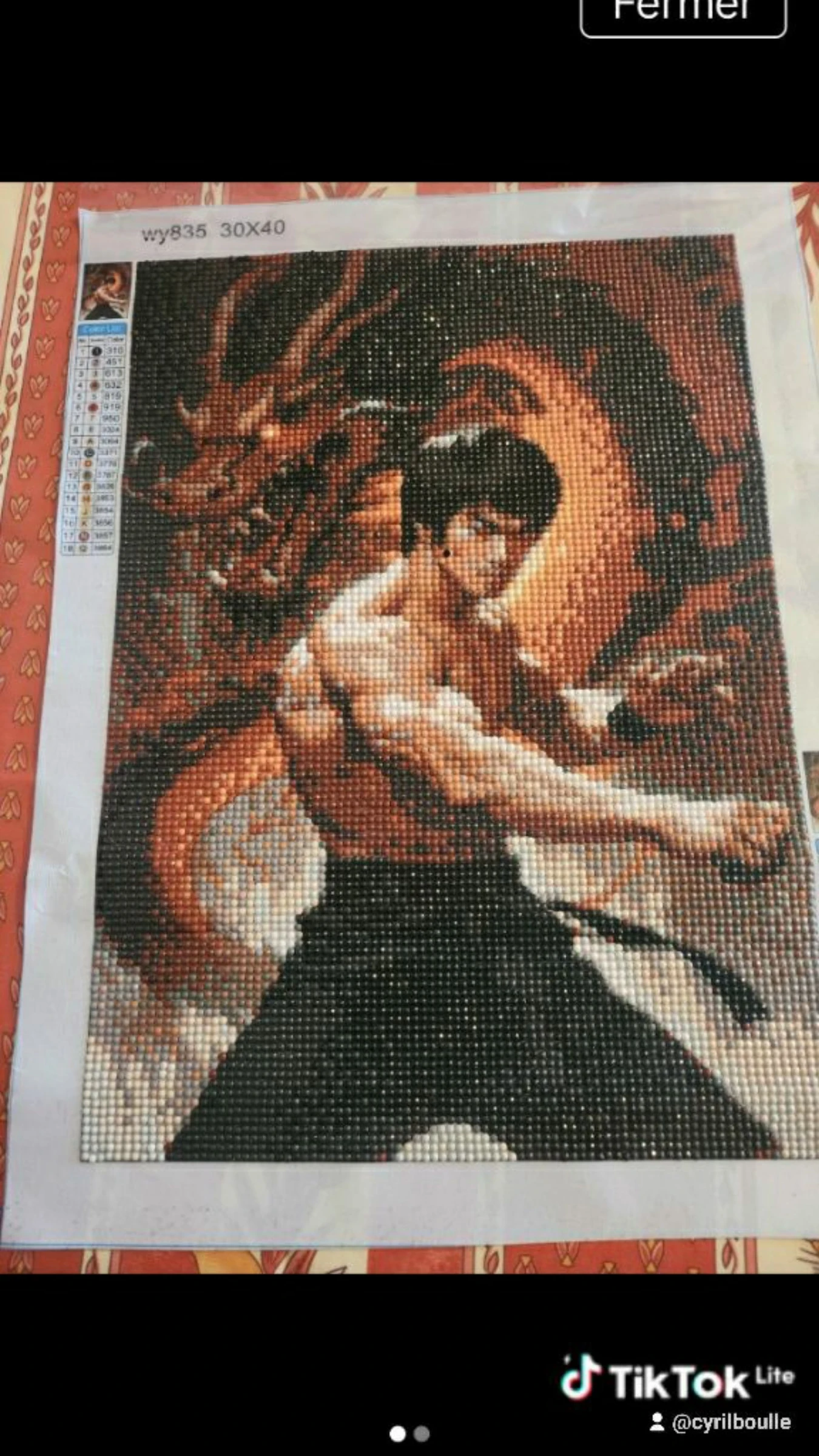 Diamond painting bruce lee
